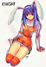 Ragnatic Fanbook Kaburimon Vol.1