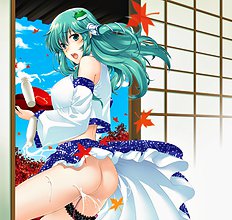 Touhou Pics Collection From Sanae Kochiya 2