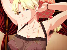 Demiparadoxia Hookerstic Hokujo Hen Hookerstic Nanka Hen