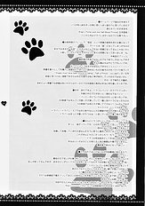 Mahou Shoujo Moeneko Ron