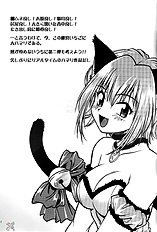 Tokyo Myu Myu (Tokyo Mew Mew) [English] ｛SaHa｝
