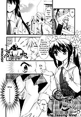 The Teasing Wind