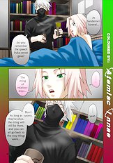 Himitsu - The Mystery