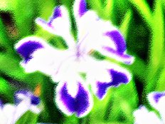 Doushin - Same Heart