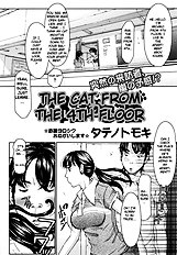The Cat From The 4th Floor