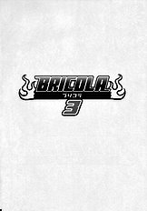 Bricola 3 [Diogenes Club (Haikawa Hemlen)][ENG]