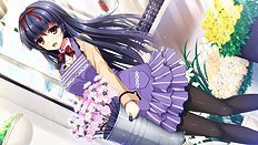 Fabulous big tits, blowjob hentai set