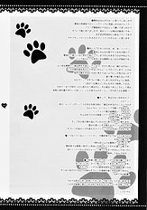 Mahou Shoujo Moeneko Ron