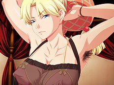 Demiparadoxia Hookerstic Hokujo Hen Hookerstic Nanka Hen